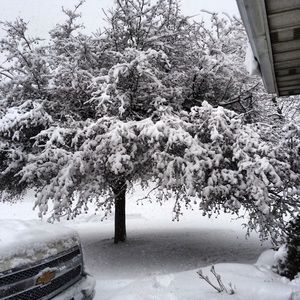 Meet your Posher, Scott